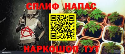 трава Будённовск
