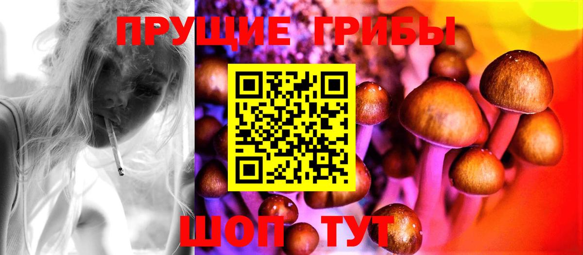 Гусиноозёрск  Псилоцибиновые грибы GOLDEN TEACHER  Вход с VPN 