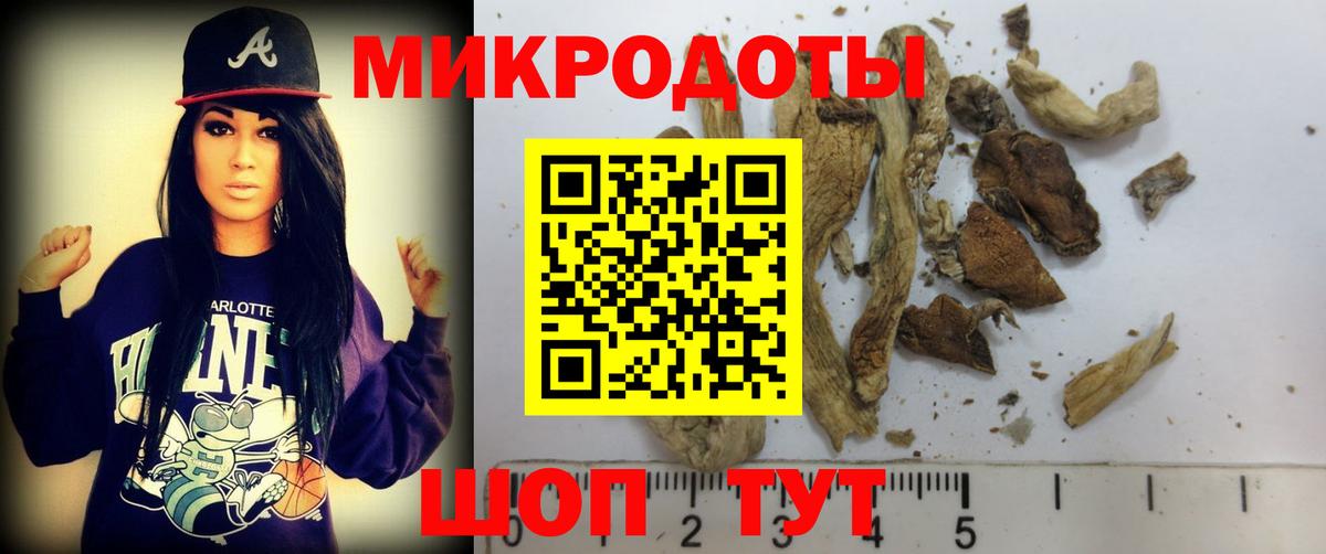 Псилоцибиновые грибы прущие грибы Гусиноозёрск